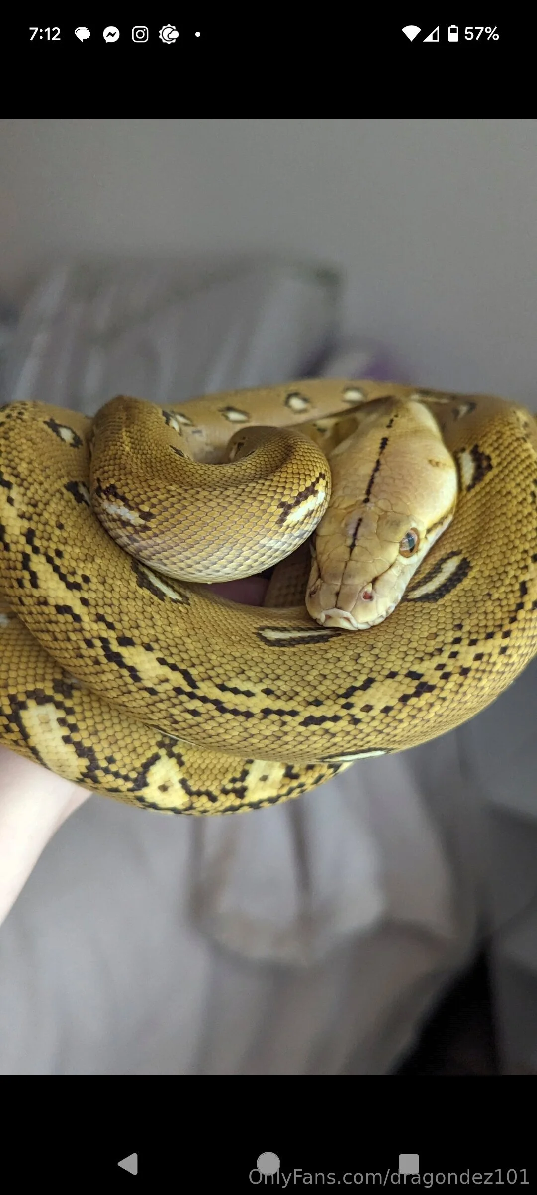 Desi Top 0.26% of Creators