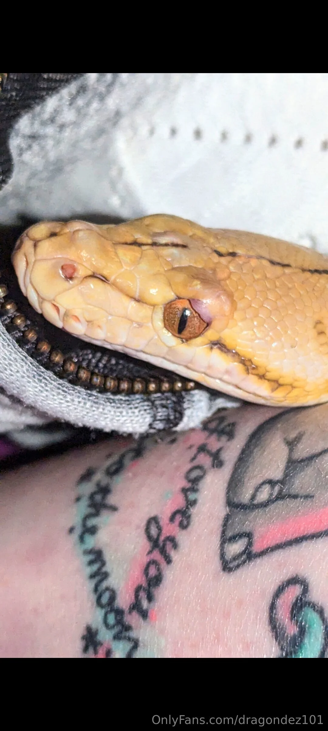 Desi Top 0.26% of Creators